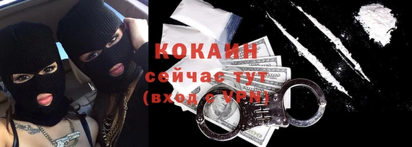 дживик Пестово