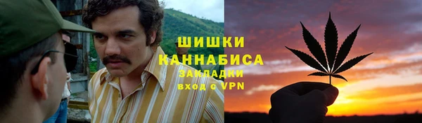 дживик Пестово