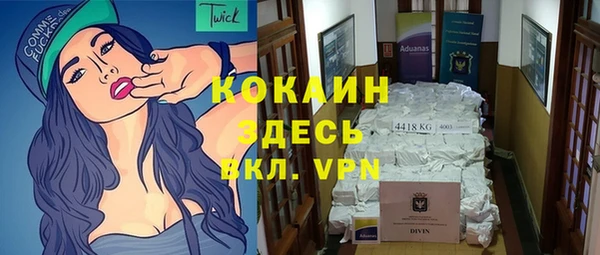 не бодяженный Пересвет