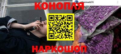гашишное масло Берёзовский