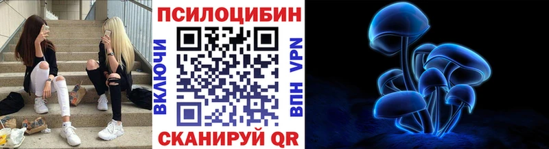 продажа наркотиков  Гурьевск  гидра ONION  Псилоцибиновые грибы GOLDEN TEACHER 
