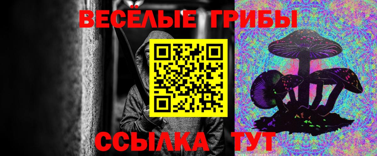 Псилоцибиновые грибы ЛСД  Гурьевск 