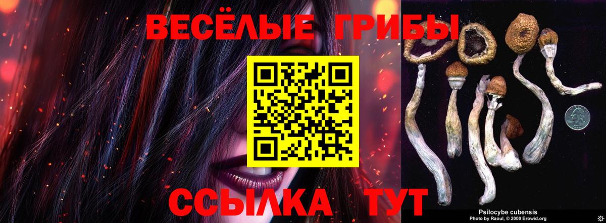 Гурьевск  Псилоцибиновые грибы Psilocybe  Вход с VPN  Галлюциногенные грибы мухоморы 